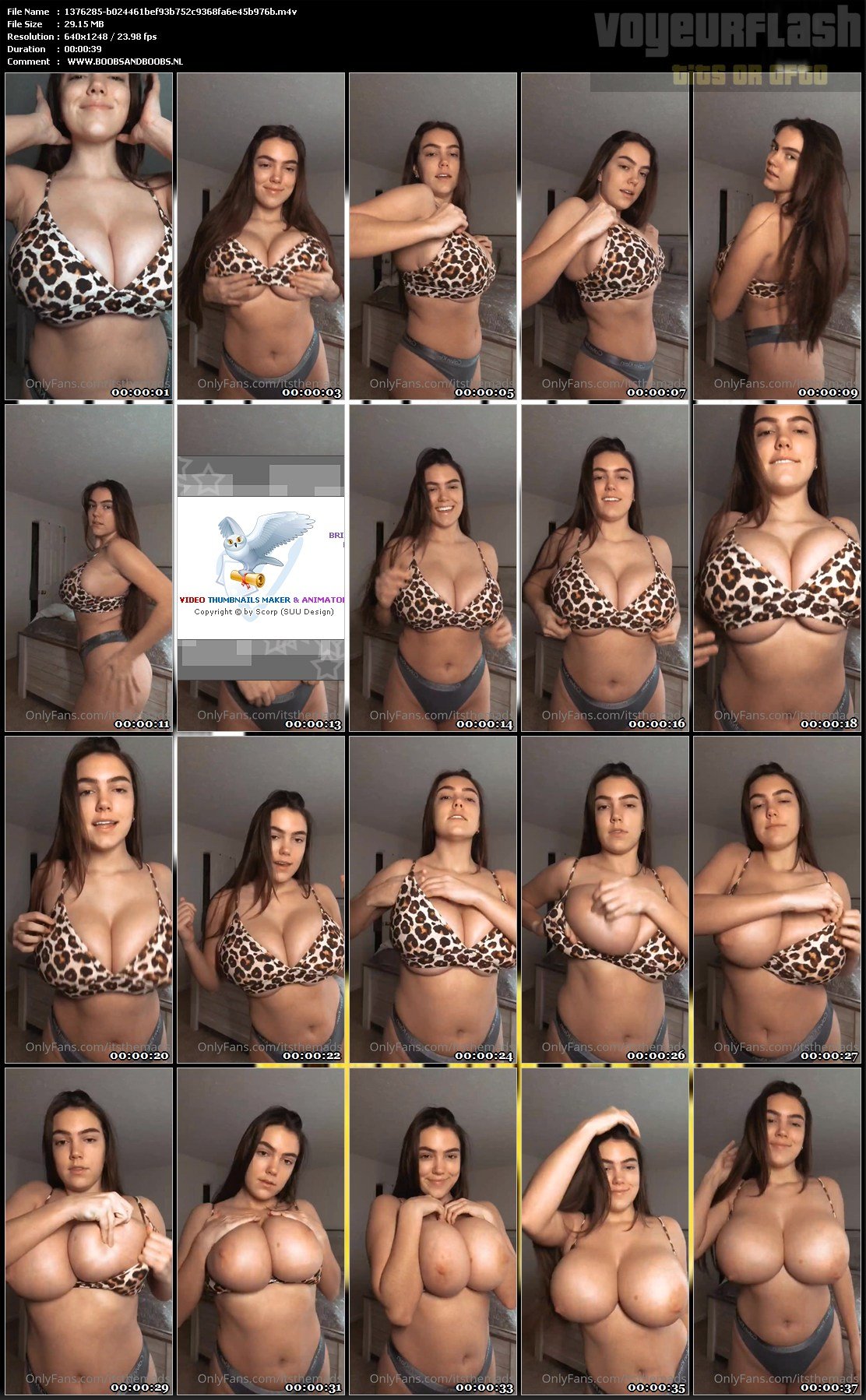 1376285-b024461bef93b752c9368fa6e45b976b.m4v.jpg