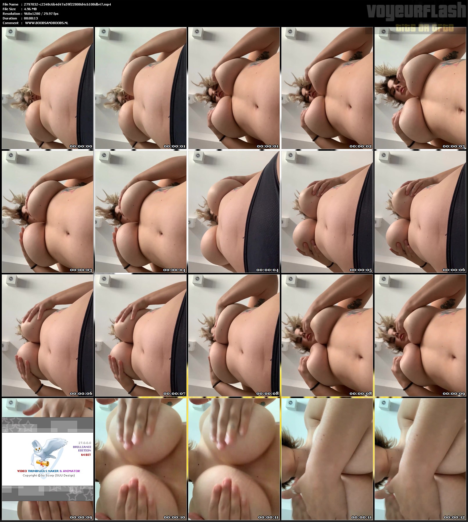2797032-c2348c6b4d47a59f22808d4c6108db47.mp4.jpg