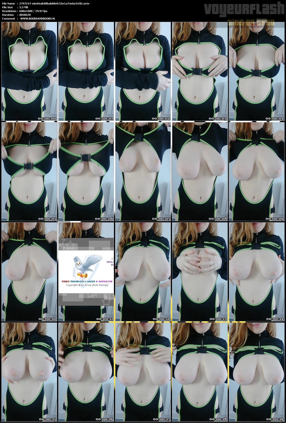 2797247-e6e84ab98bab88efc55e1a74e6e345fc.m4v.jpg