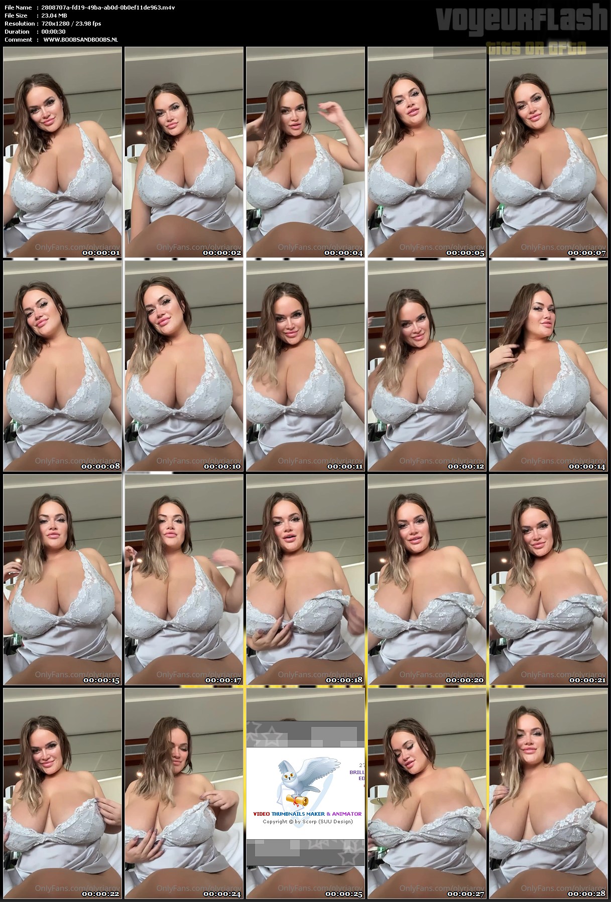 2808707a-fd19-49ba-ab0d-0b0ef11de963.m4v.jpg