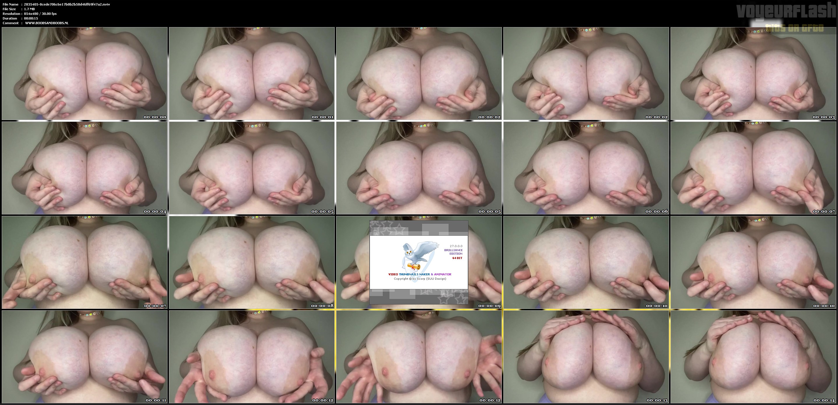 2835405-8cede706c6e17b8b2b58d46ff69f47a2.m4v.jpg