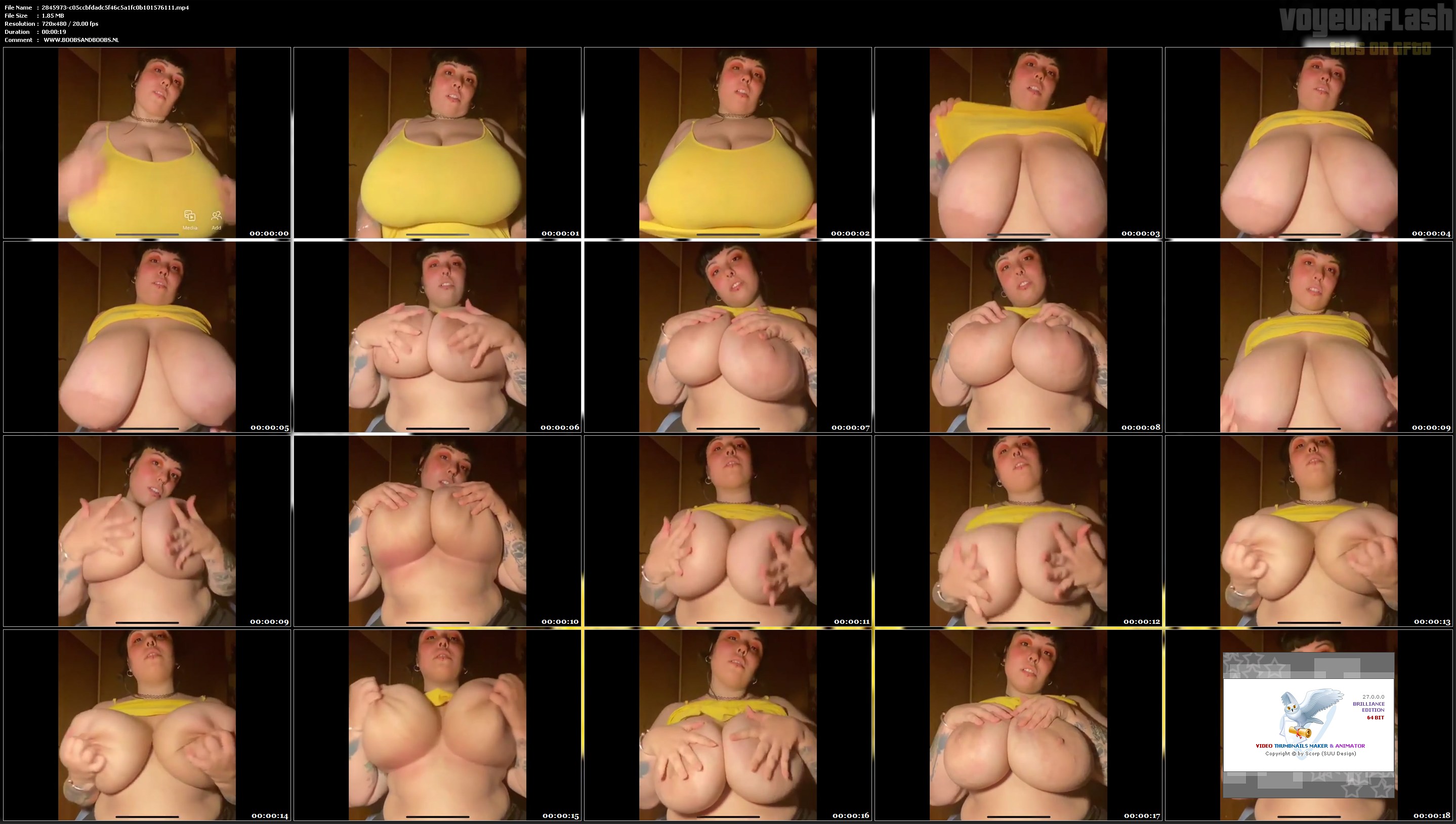 2845973-c05ccbfdadc5f46c5a1fc0b101576111.mp4.jpg