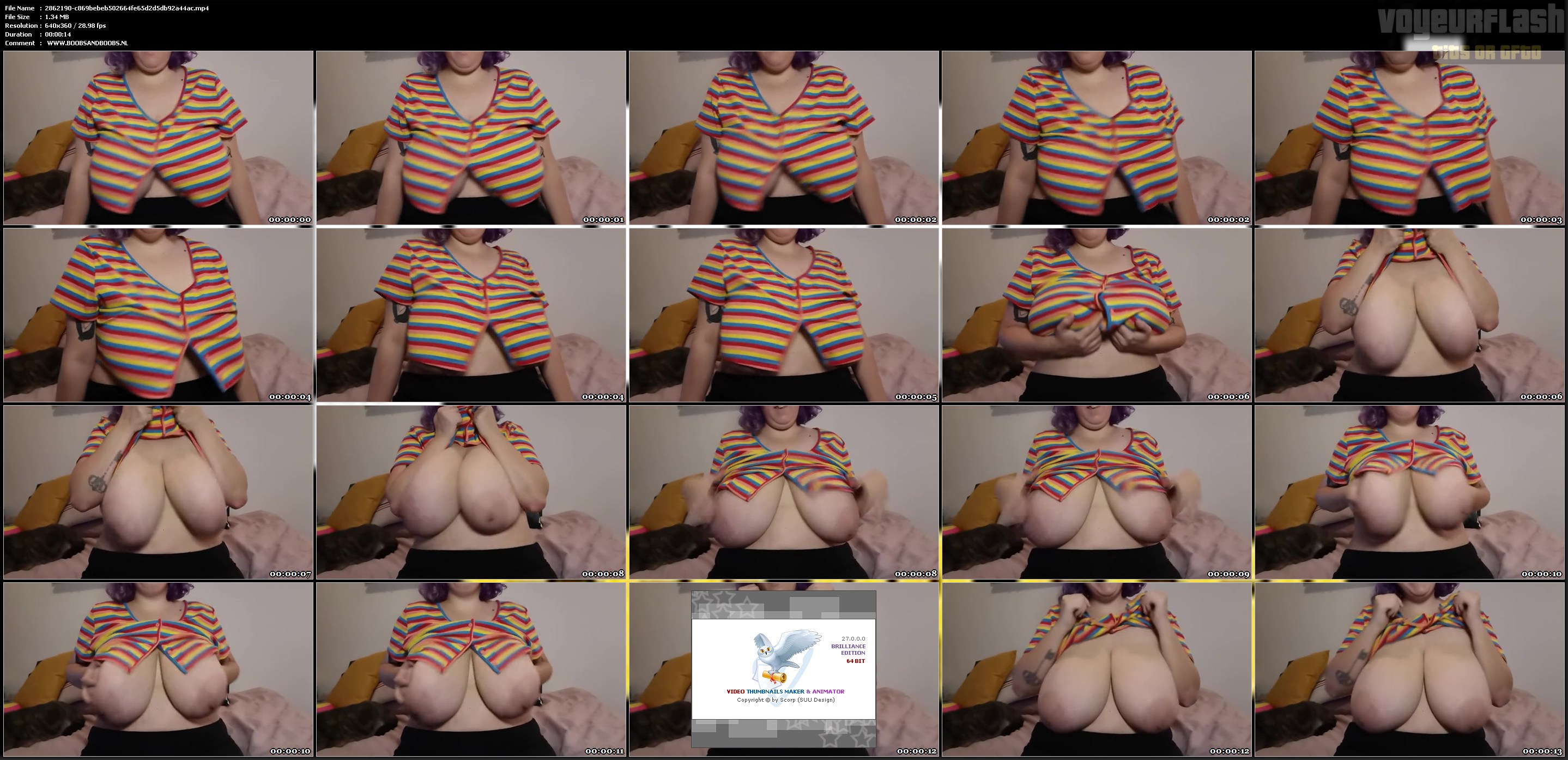 2862190-c869bebeb502664fe65d2d5db92a44ac.mp4.jpg