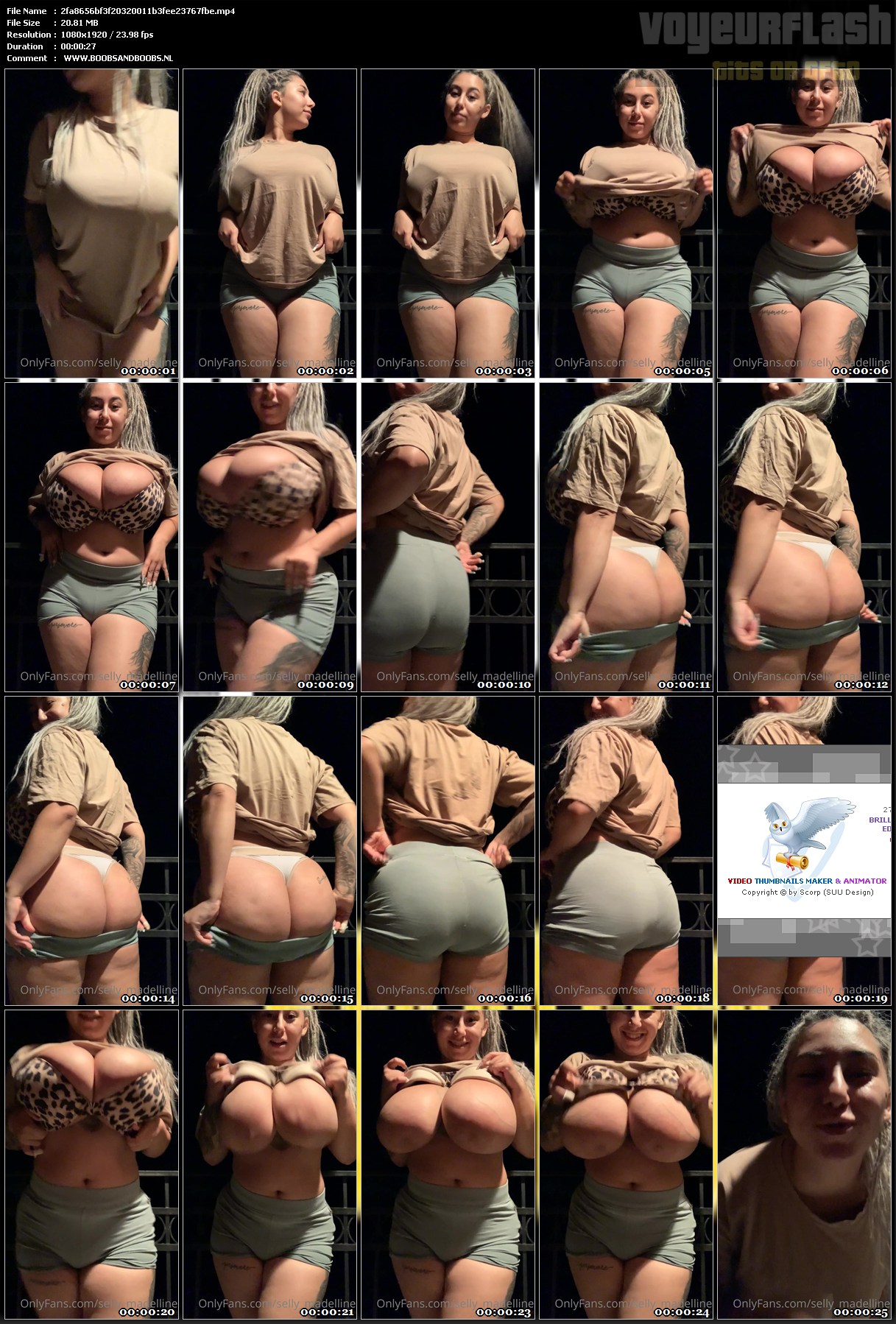 2fa8656bf3f20320011b3fee23767fbe.mp4.jpg