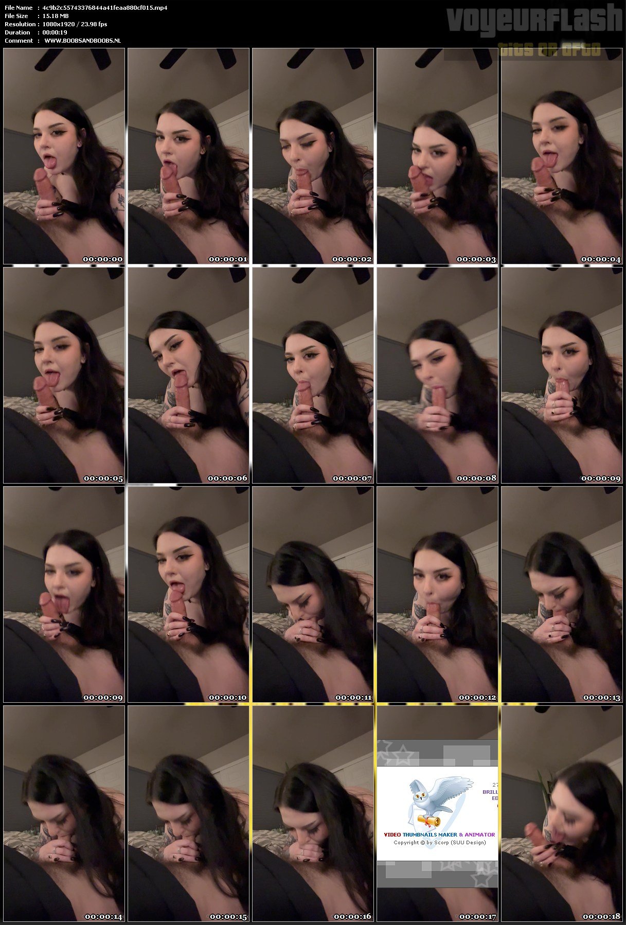 4c9b2c55743376844a41feaa880cf015.mp4.jpg