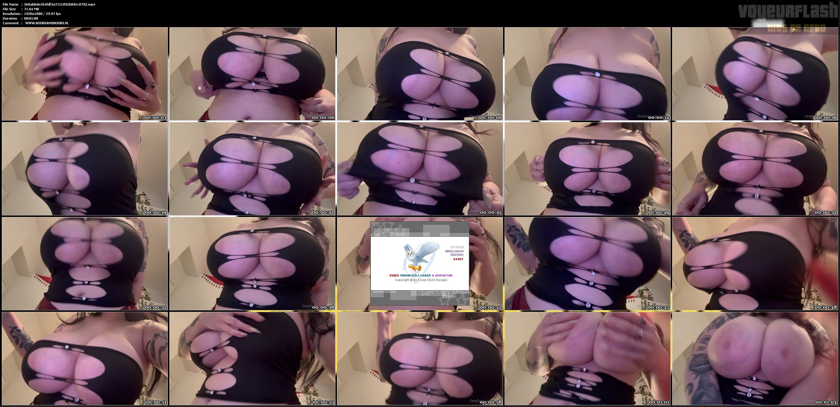 568abbde264fdf3a712c092b0d1c8792.mp4.jpg
