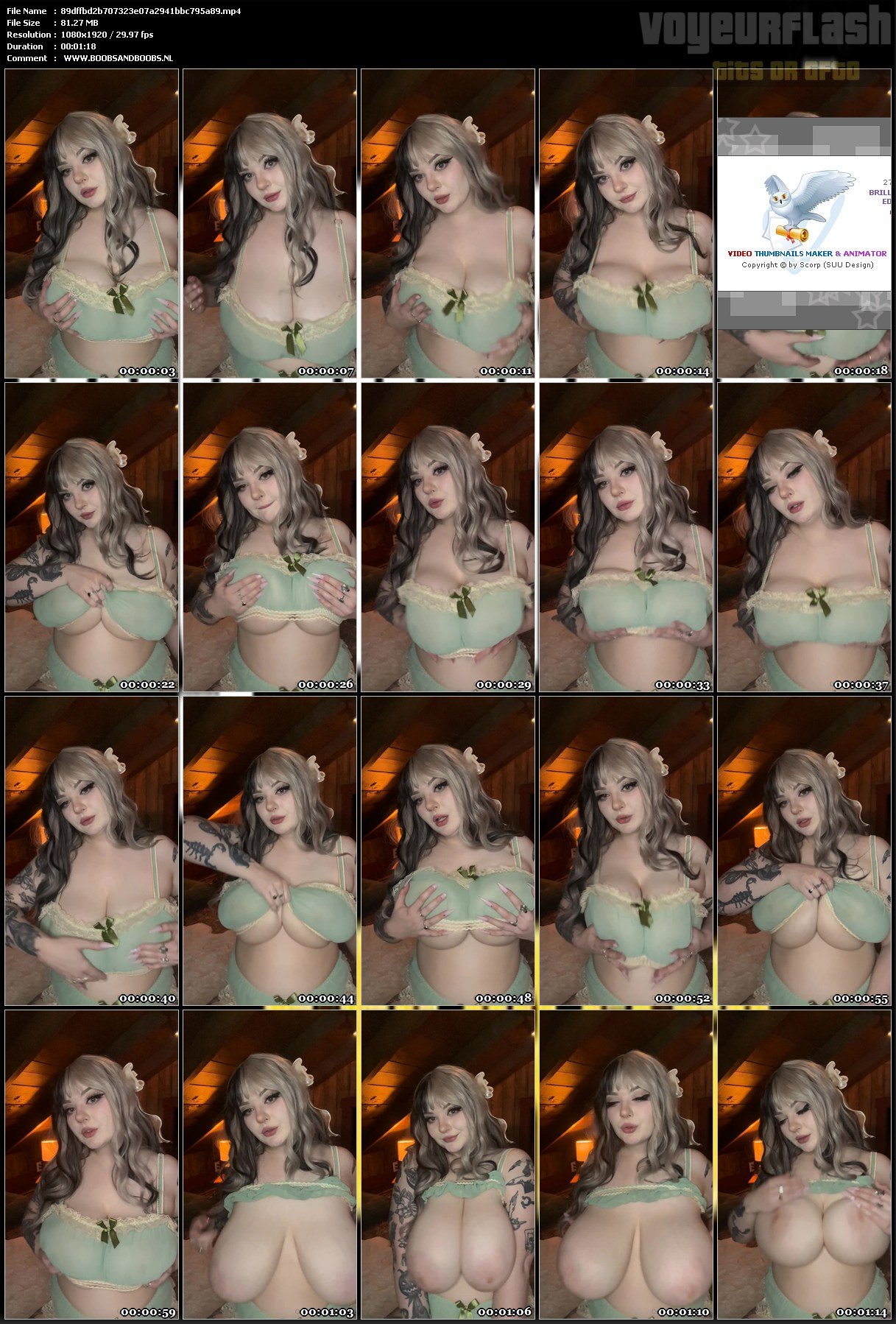 89dffbd2b707323e07a2941bbc795a89.mp4.jpg