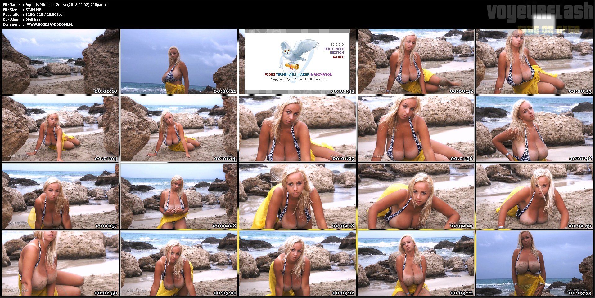 Agnetis Miracle - Zebra (2015.02.02) 720p.mp4.jpg