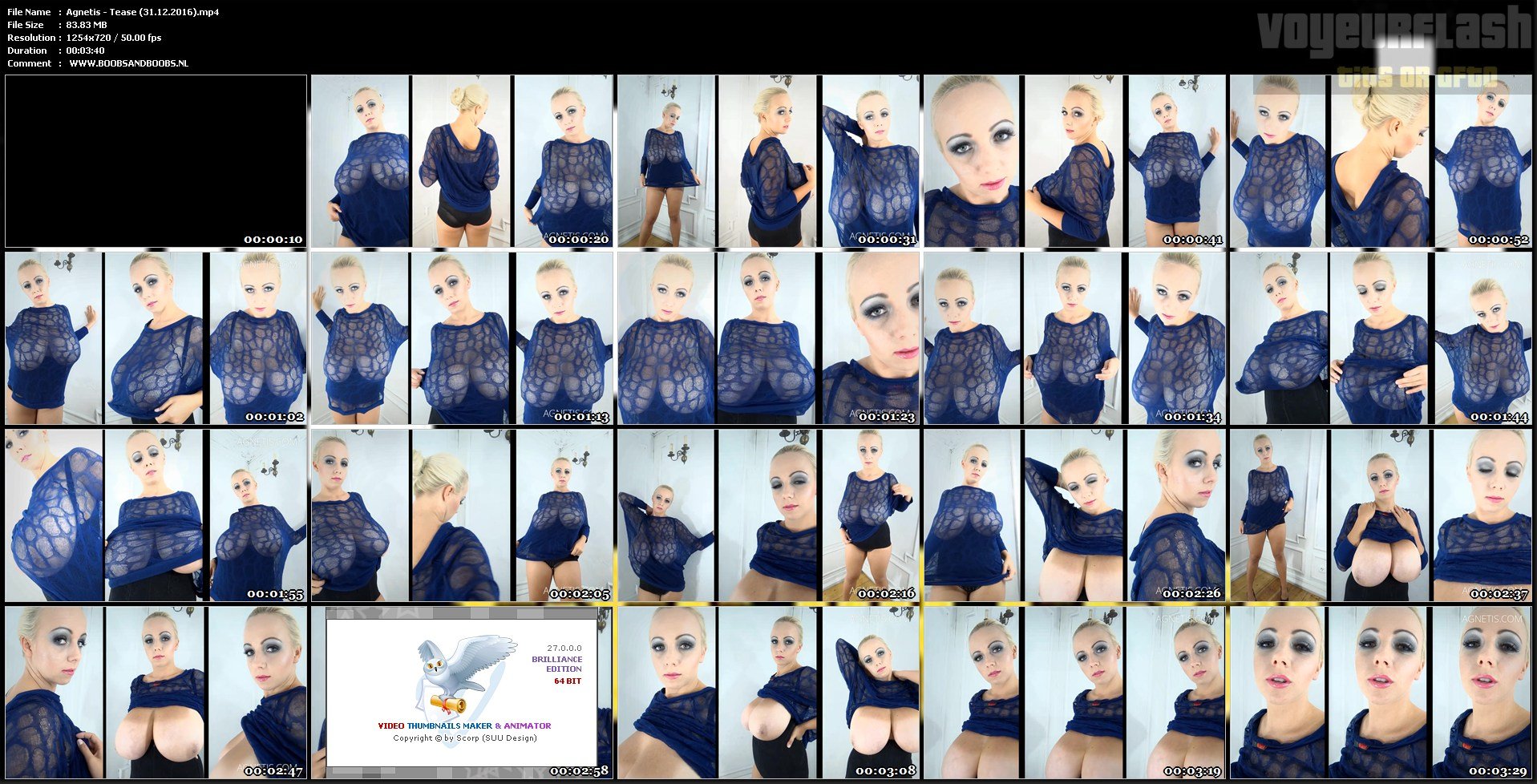 Agnetis - Tease (31.12.2016).mp4.jpg