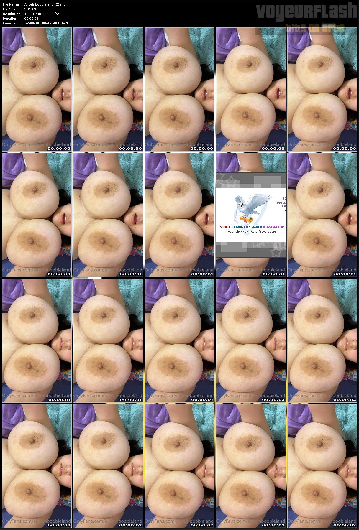 Aliceinboobieland (2).mp4.jpg