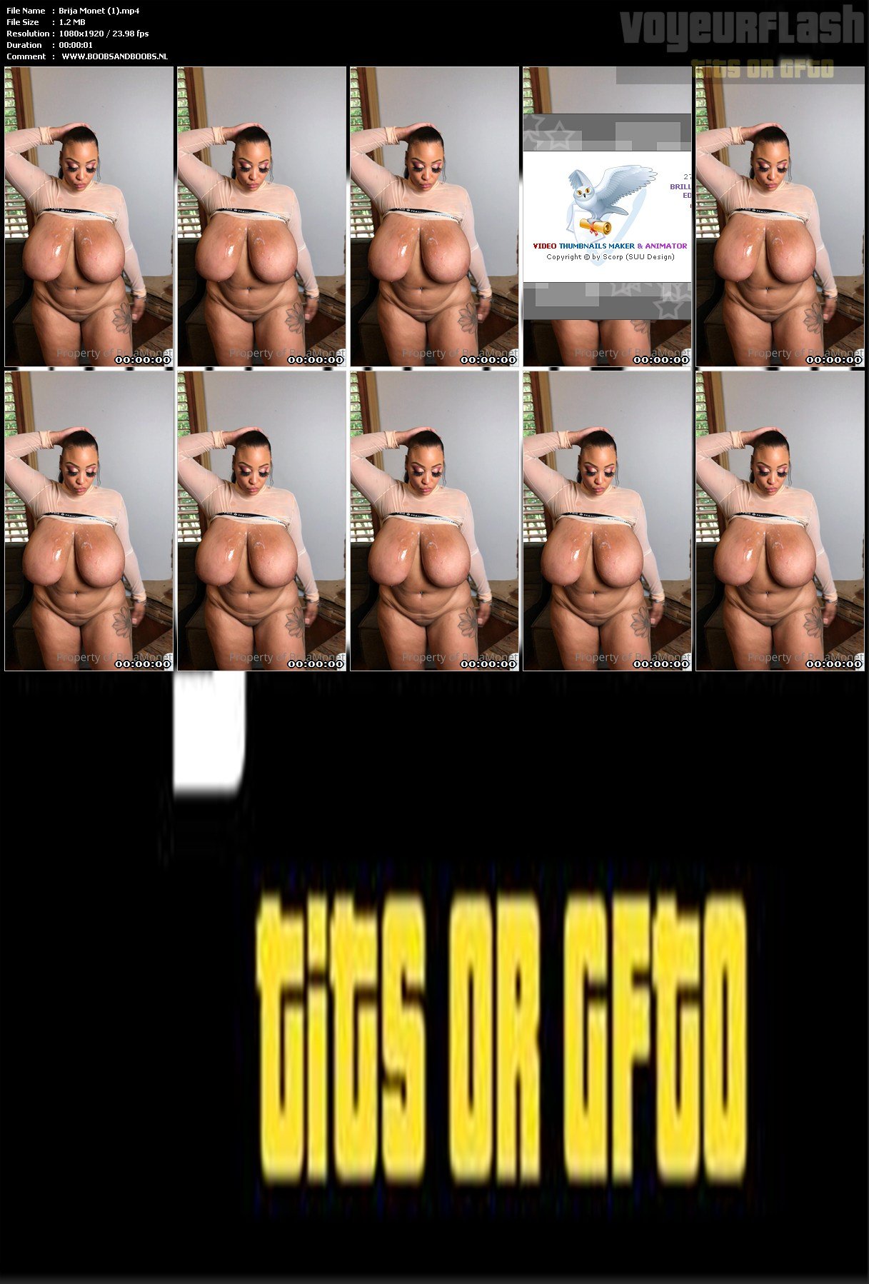 Brija Monet (1).mp4.jpg