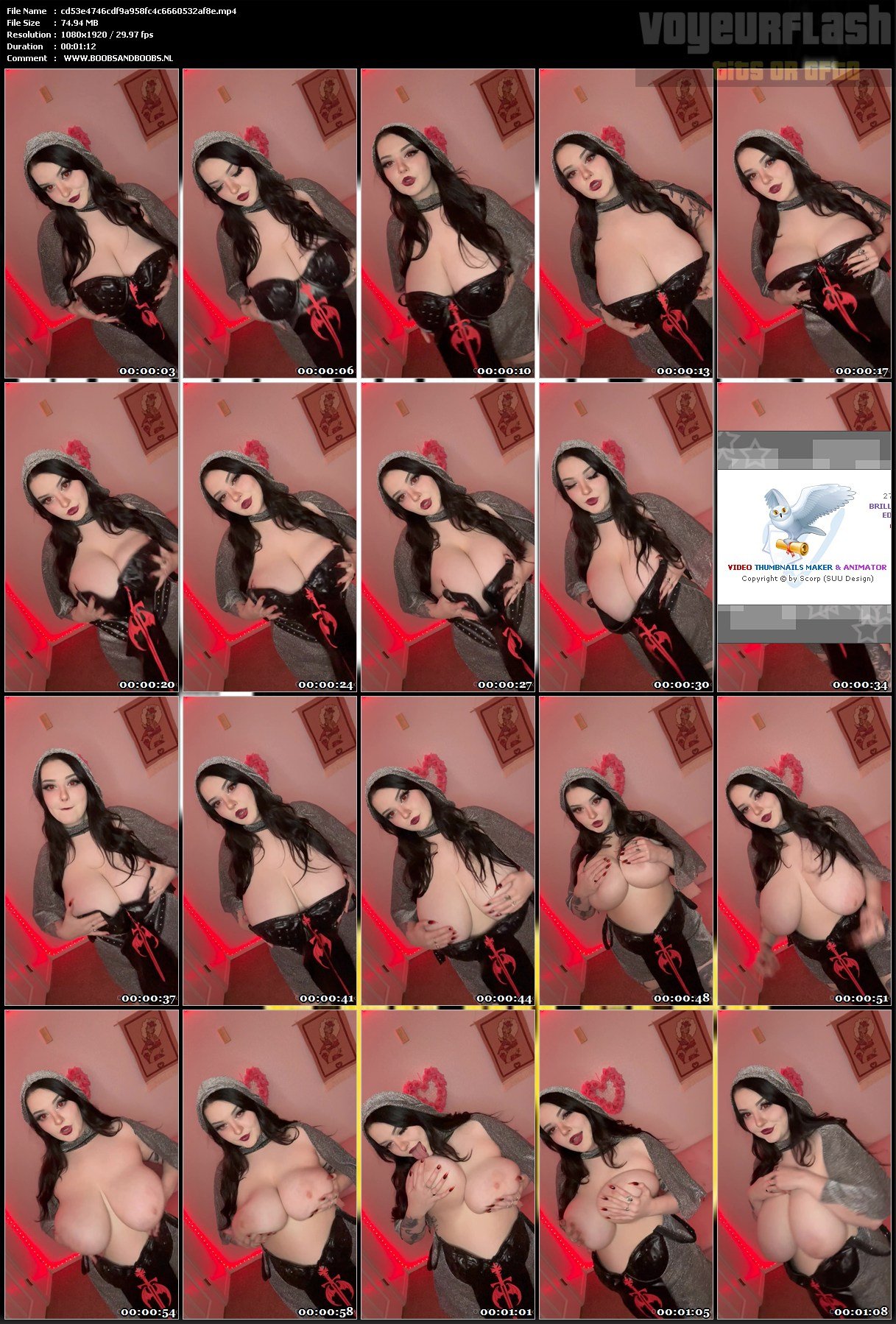 cd53e4746cdf9a958fc4c6660532af8e.mp4.jpg