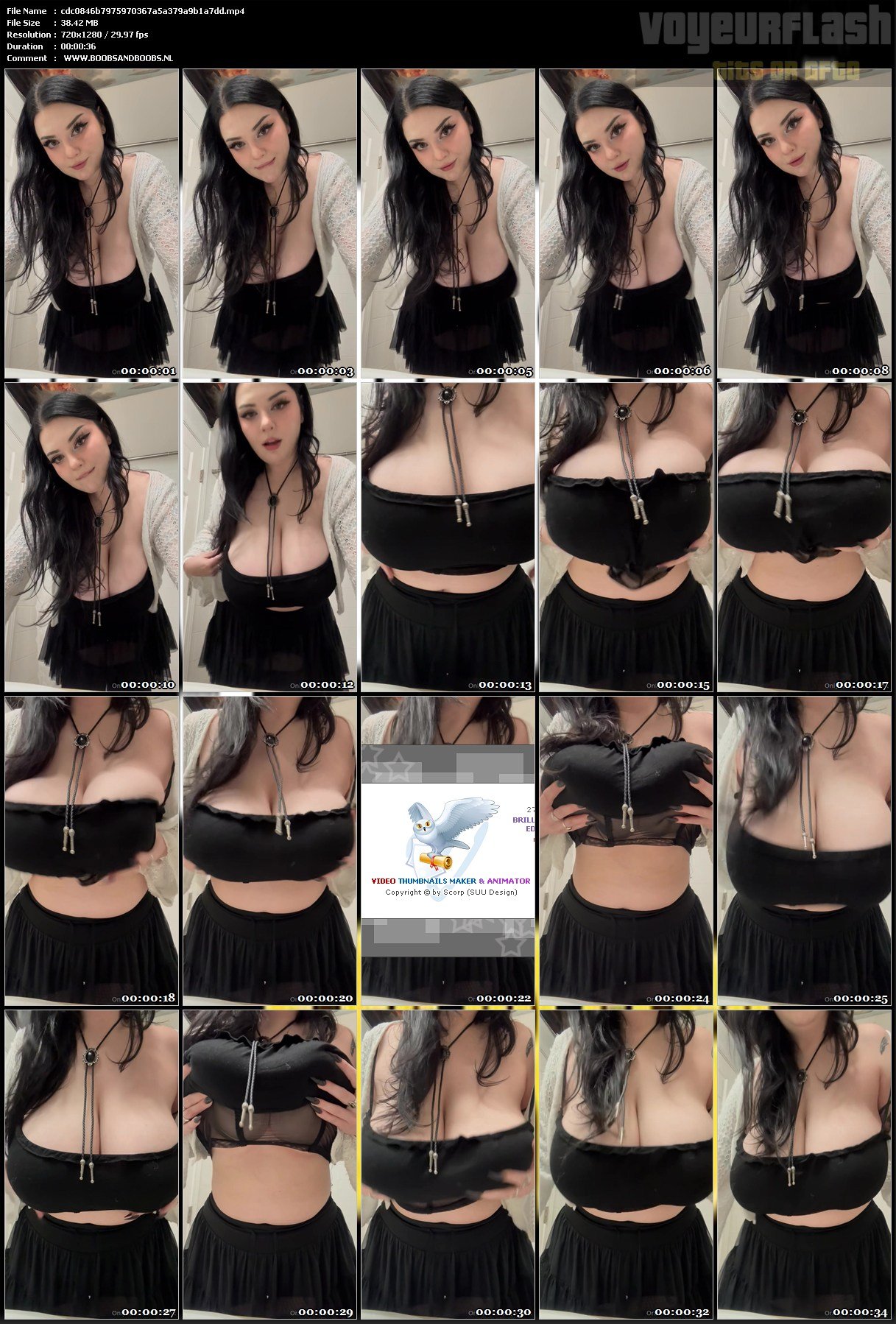 cdc0846b7975970367a5a379a9b1a7dd.mp4.jpg