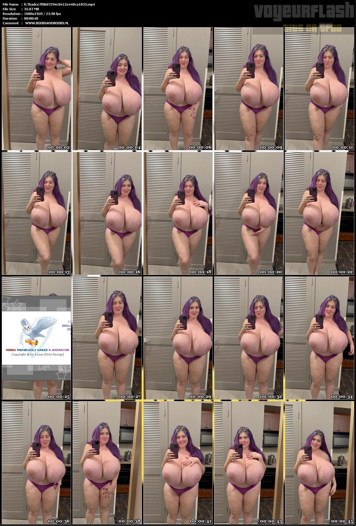 fc7badce7f0b07294c0412e440ca1833.mp4.jpg