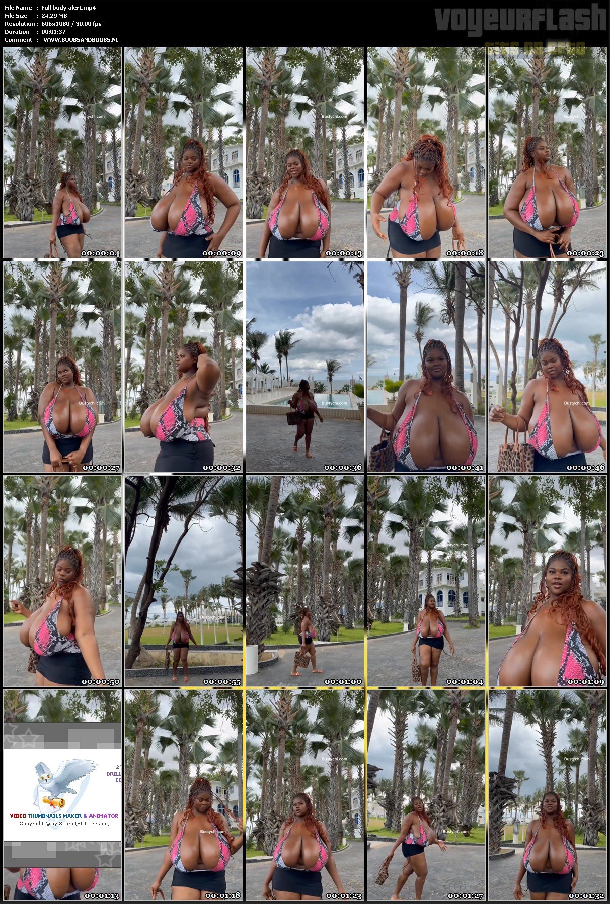 Full body alert.mp4.jpg