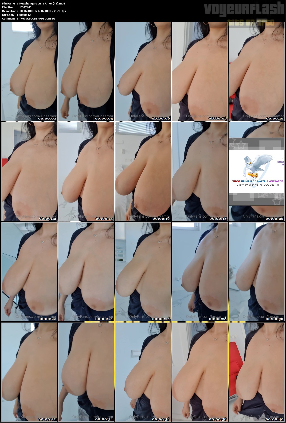 Hugehangers Luna Amor (42).mp4.jpg