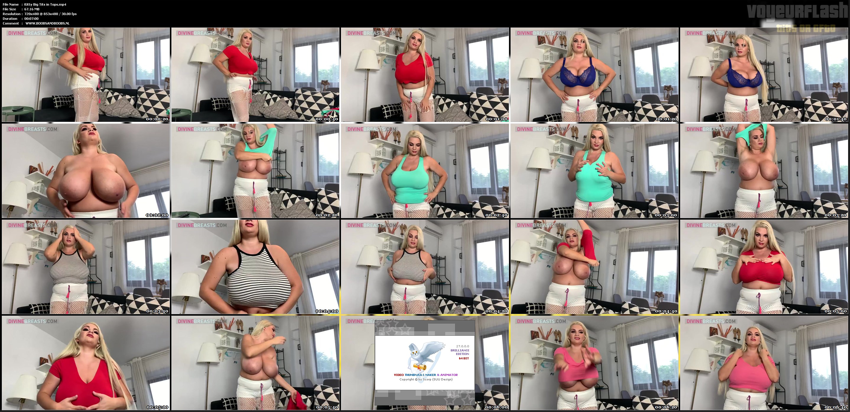 Kitty Big Tits in Tops.mp4.jpg