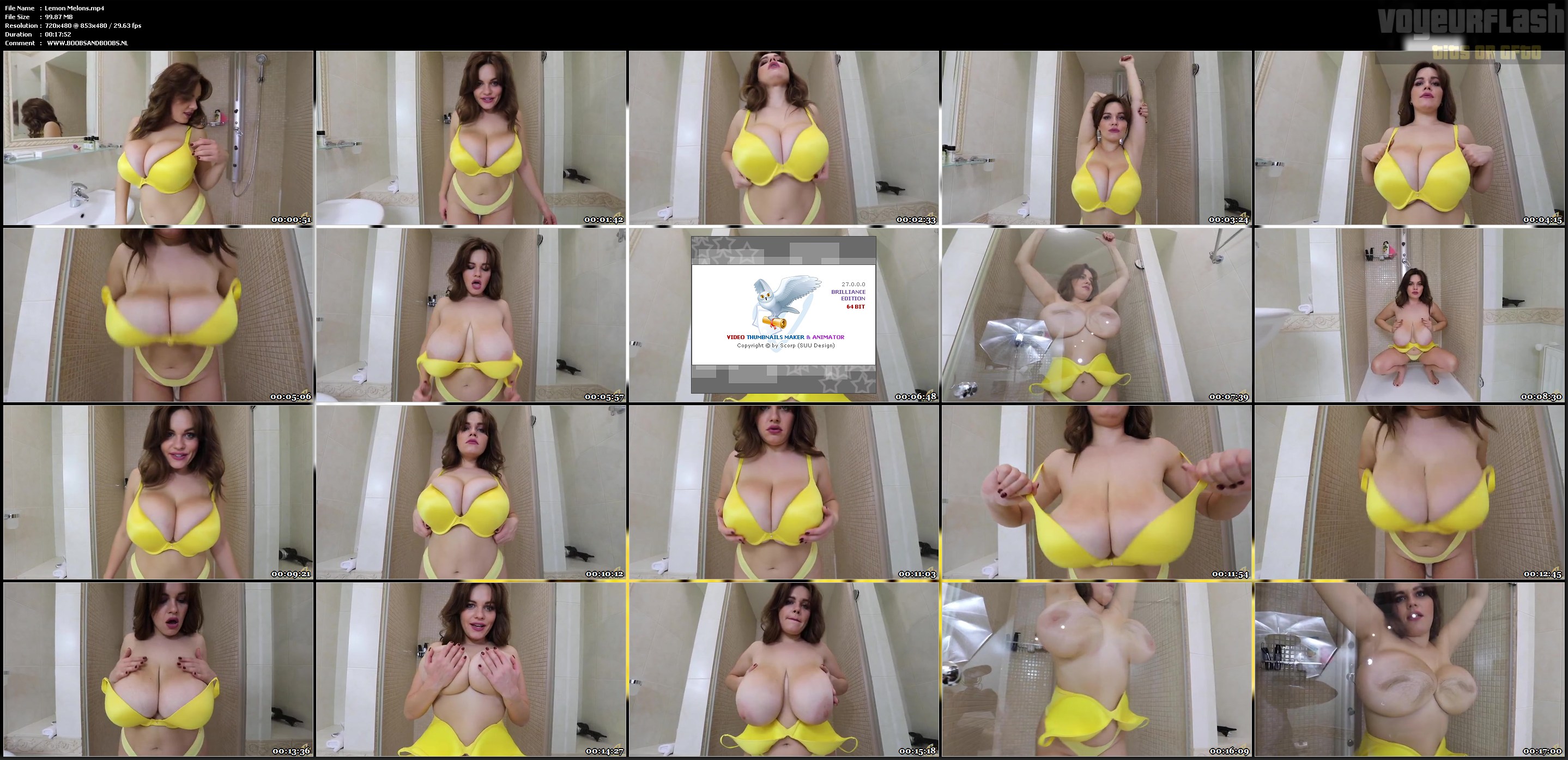 Lemon Melons.mp4.jpg