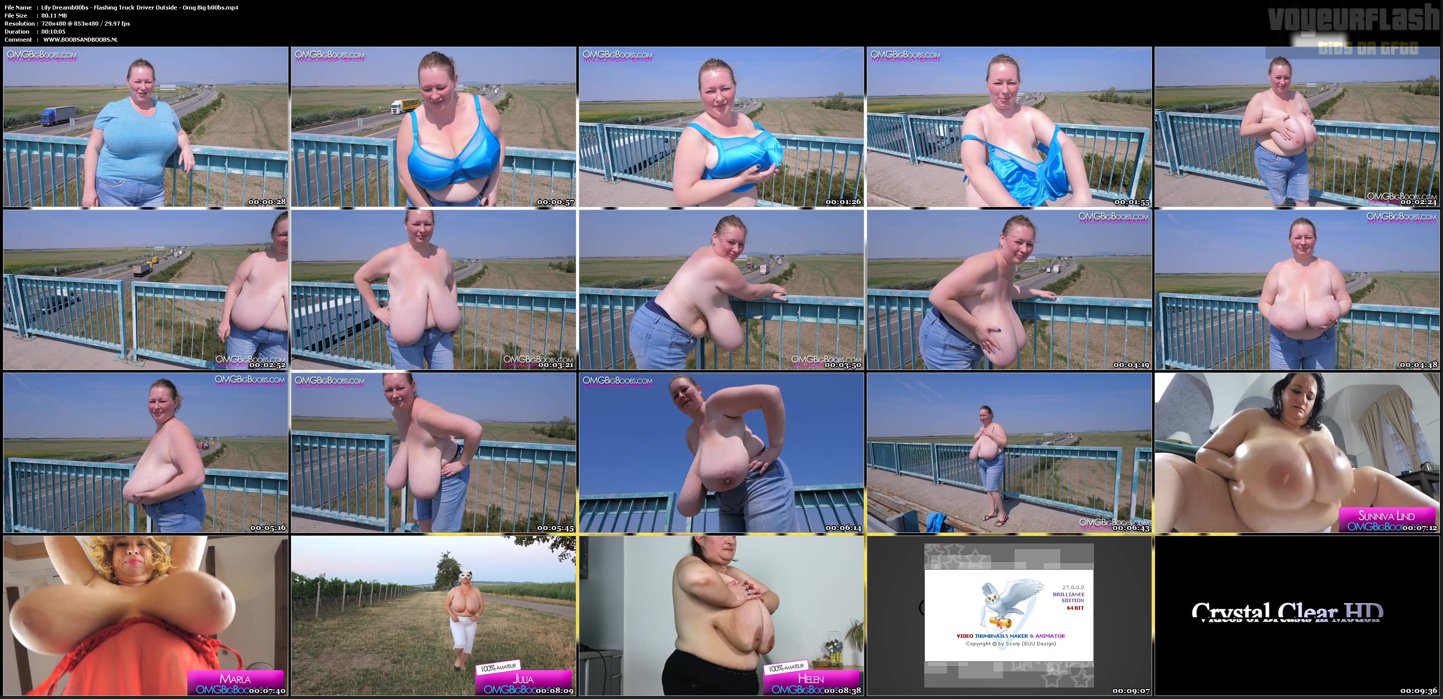 Lily Dreamb00bs - Flashing Truck Driver Outside - Omg Big b00bs.mp4.jpg