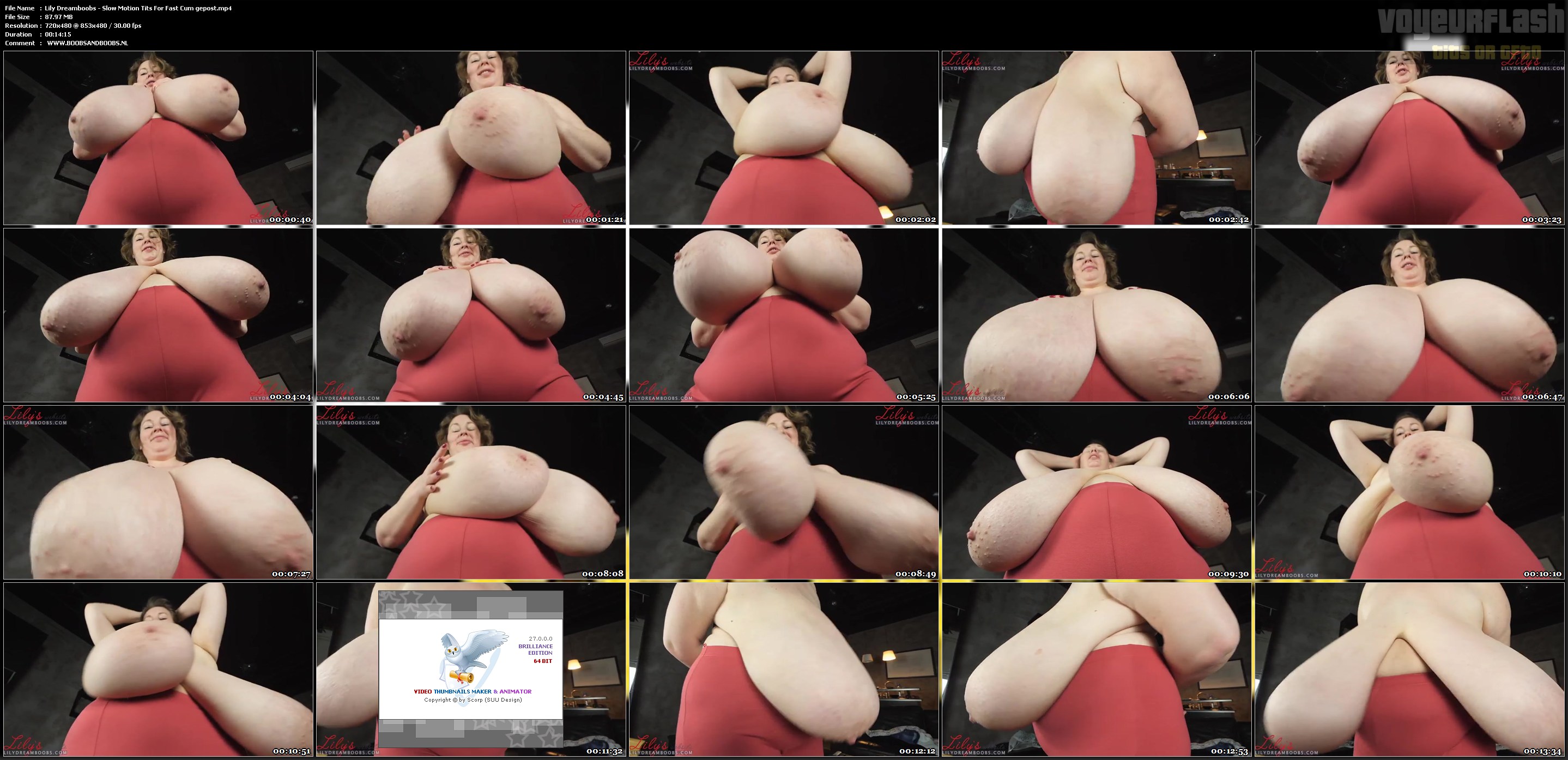 Lily Dreamboobs - Slow Motion Tits For Fast Cum gepost.mp4.jpg