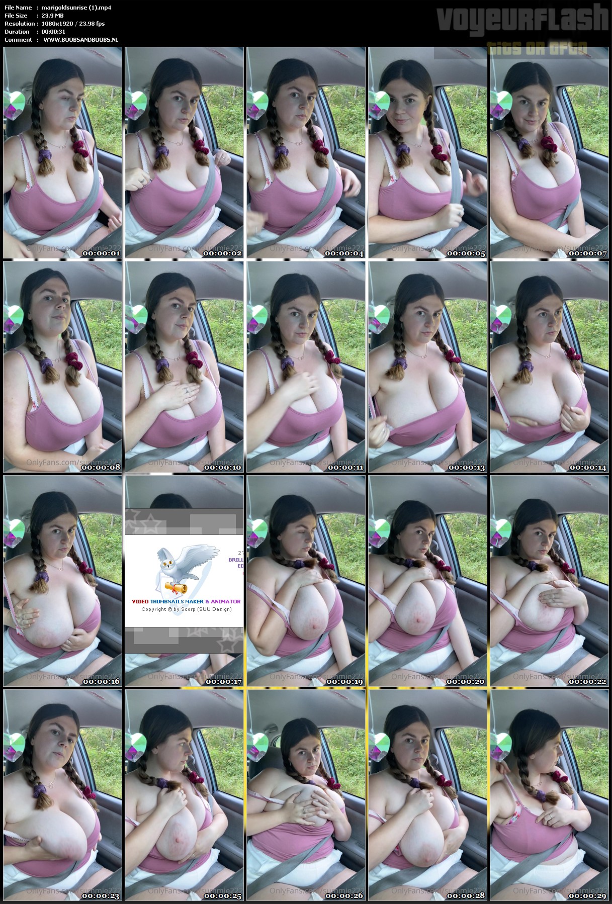 marigoldsunrise (1).mp4.jpg