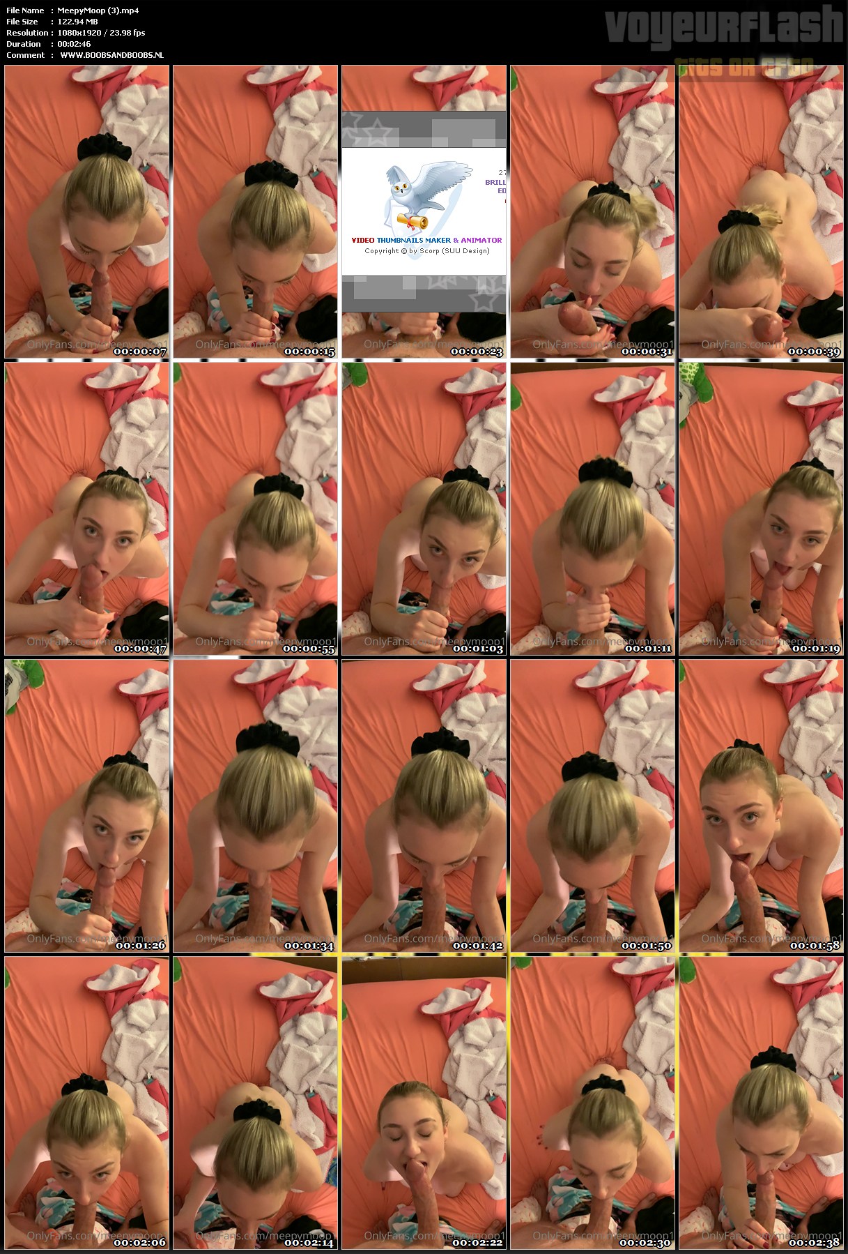 MeepyMoop (3).mp4.jpg