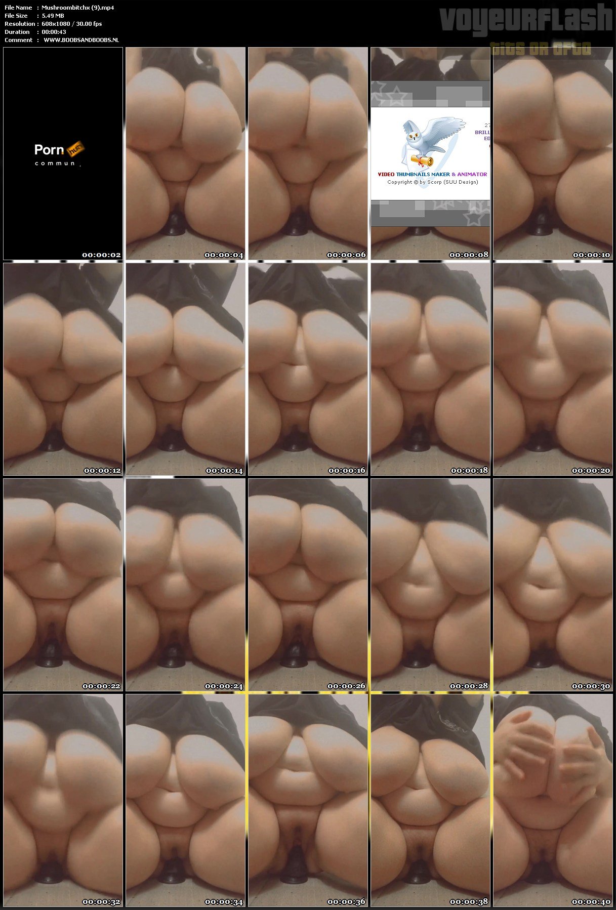 Mushroombitchx (9).mp4.jpg