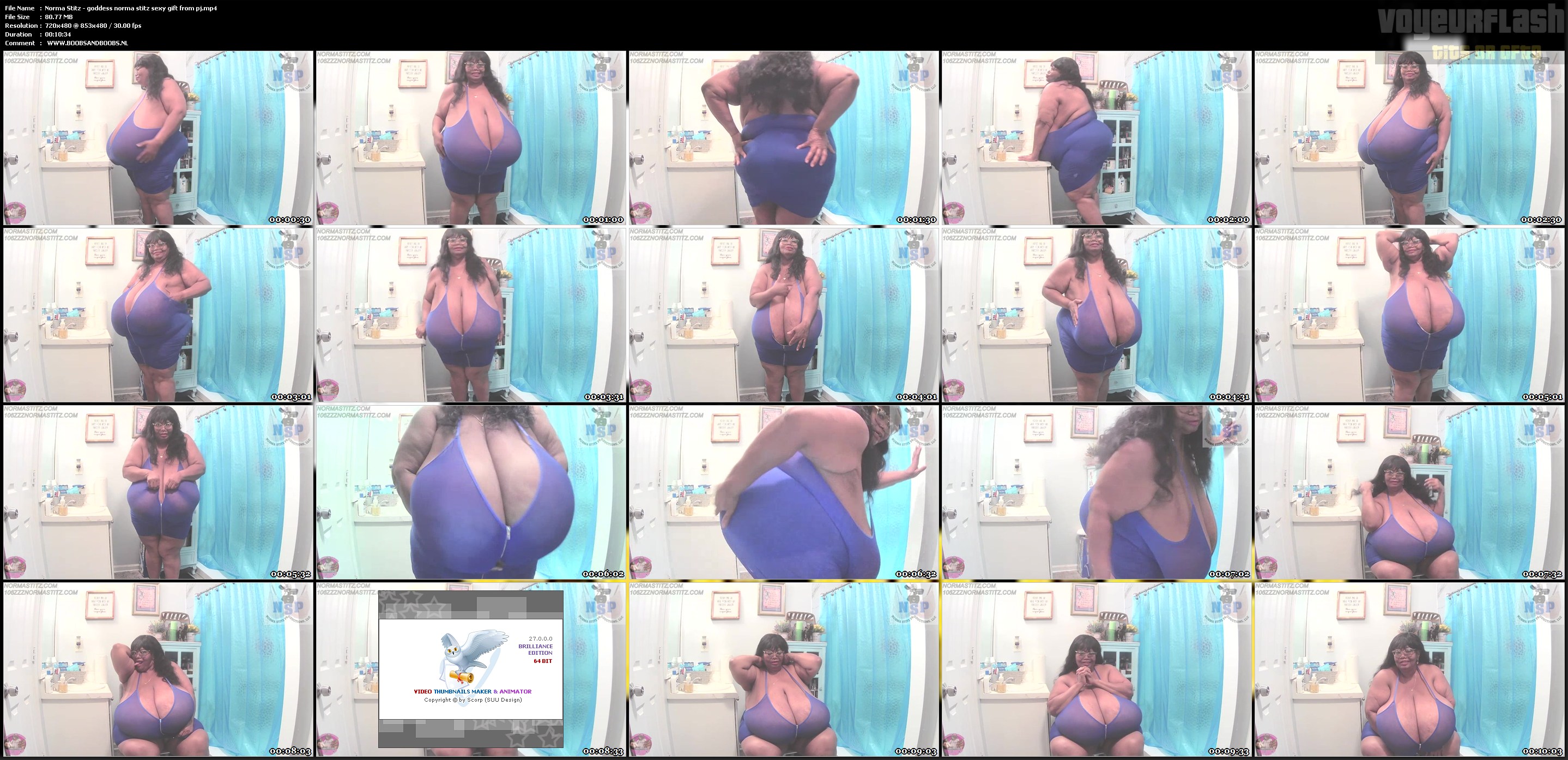 Norma Stitz - goddess norma stitz sexy gift from pj.mp4.jpg