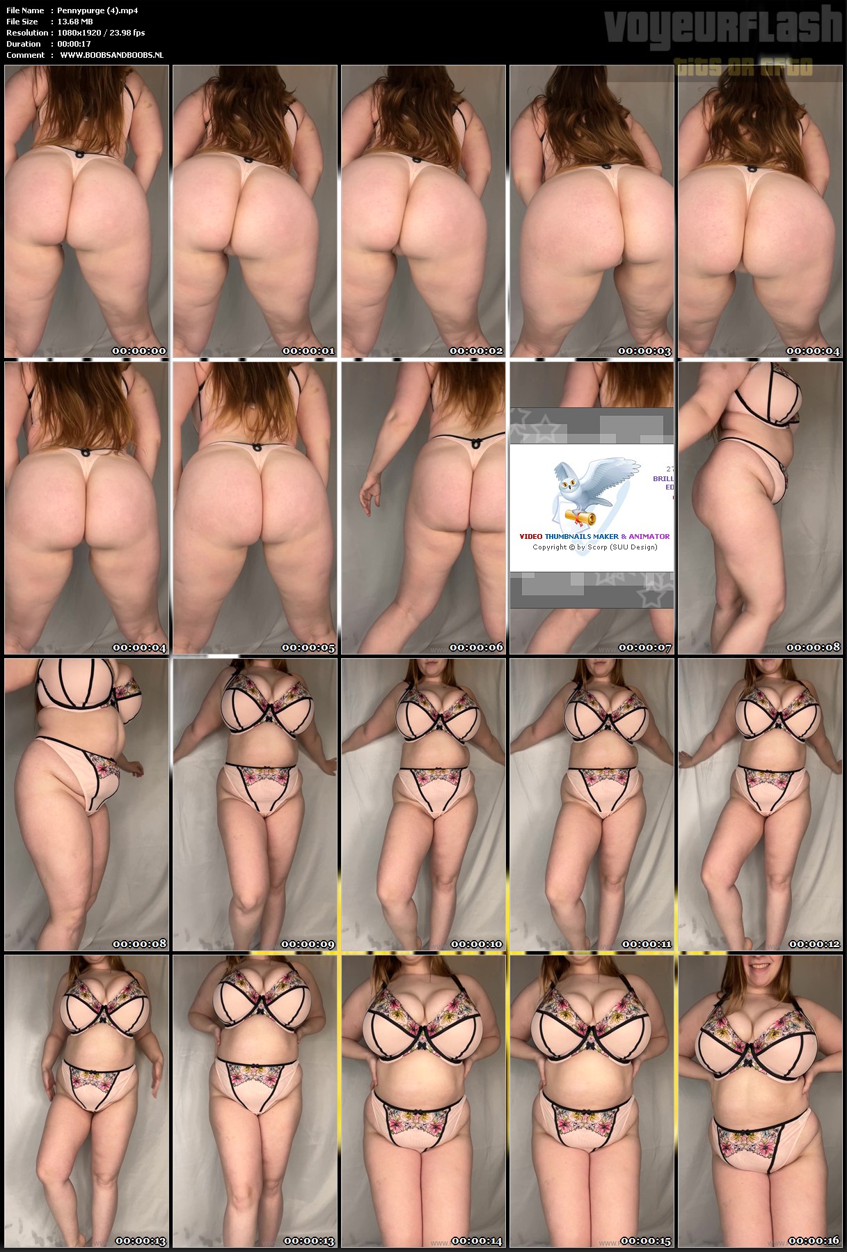 Pennypurge (4).mp4.jpg