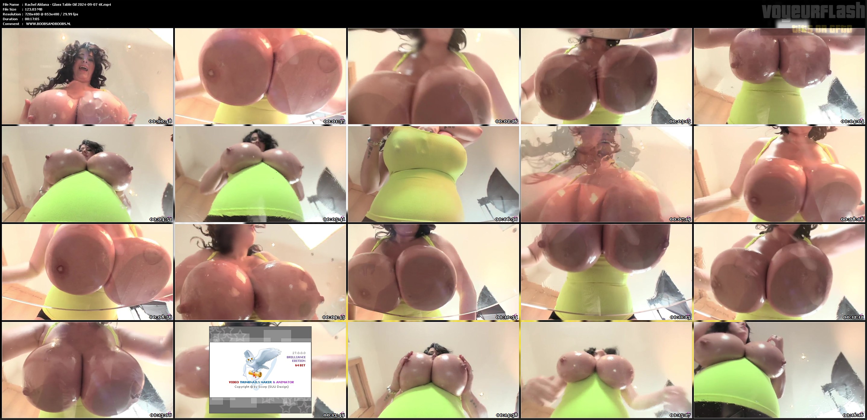 Rachel Aldana - Glass Table Oil 2024-09-07 4K.mp4.jpg