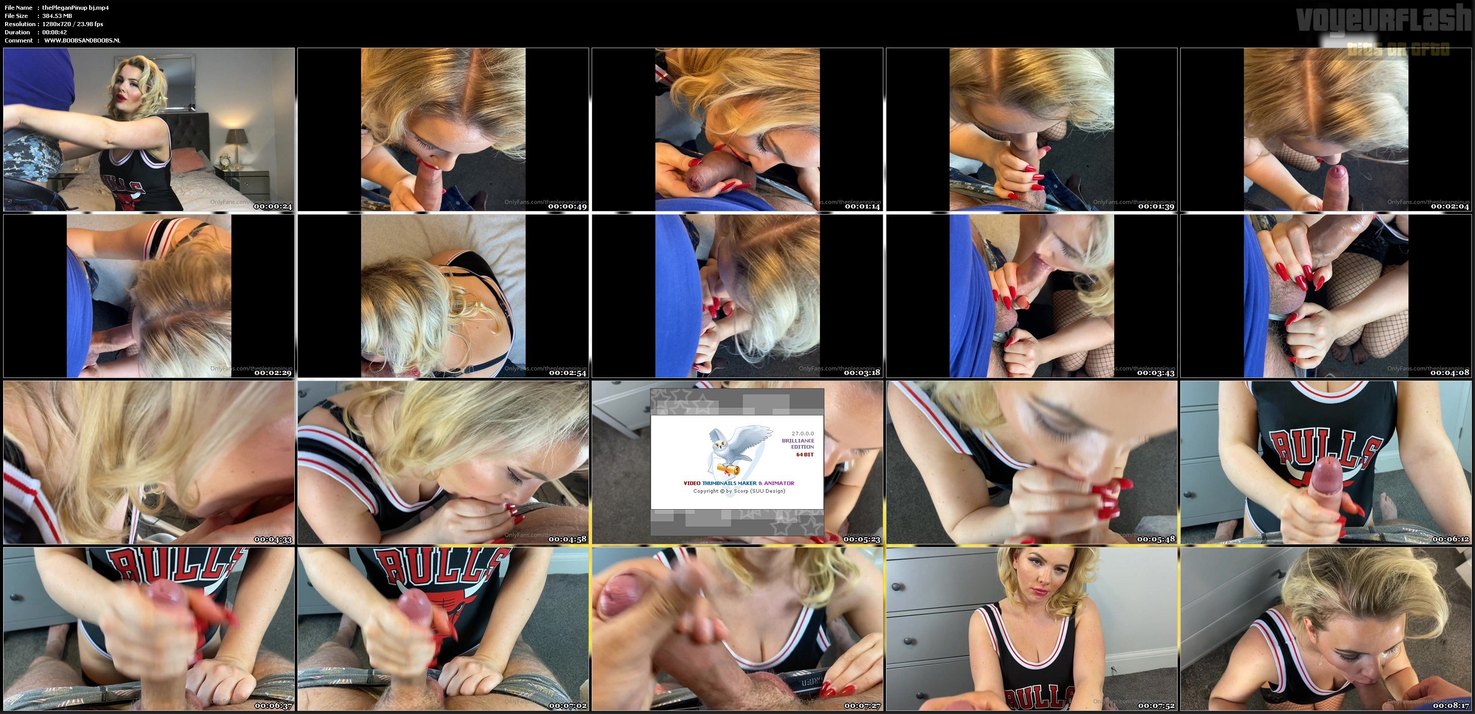 thePleganPinup bj.mp4.jpg
