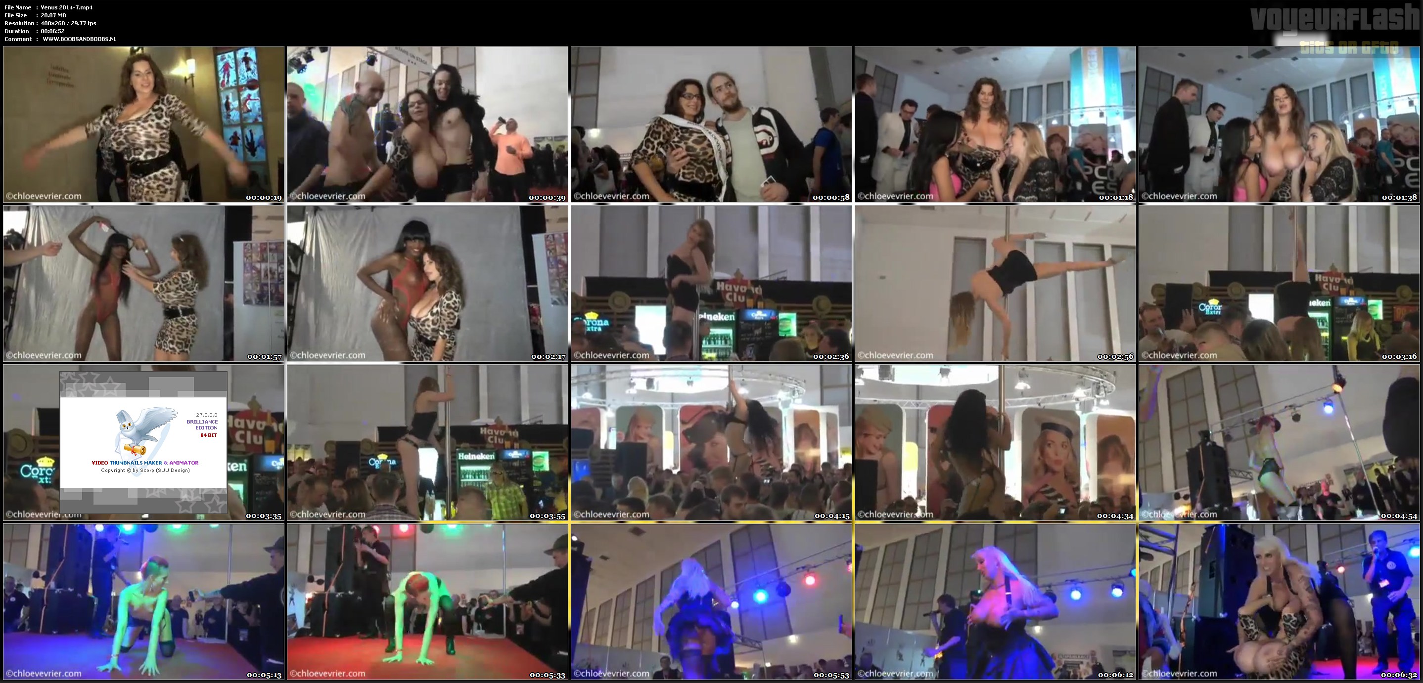 Venus 2014-7.mp4.jpg