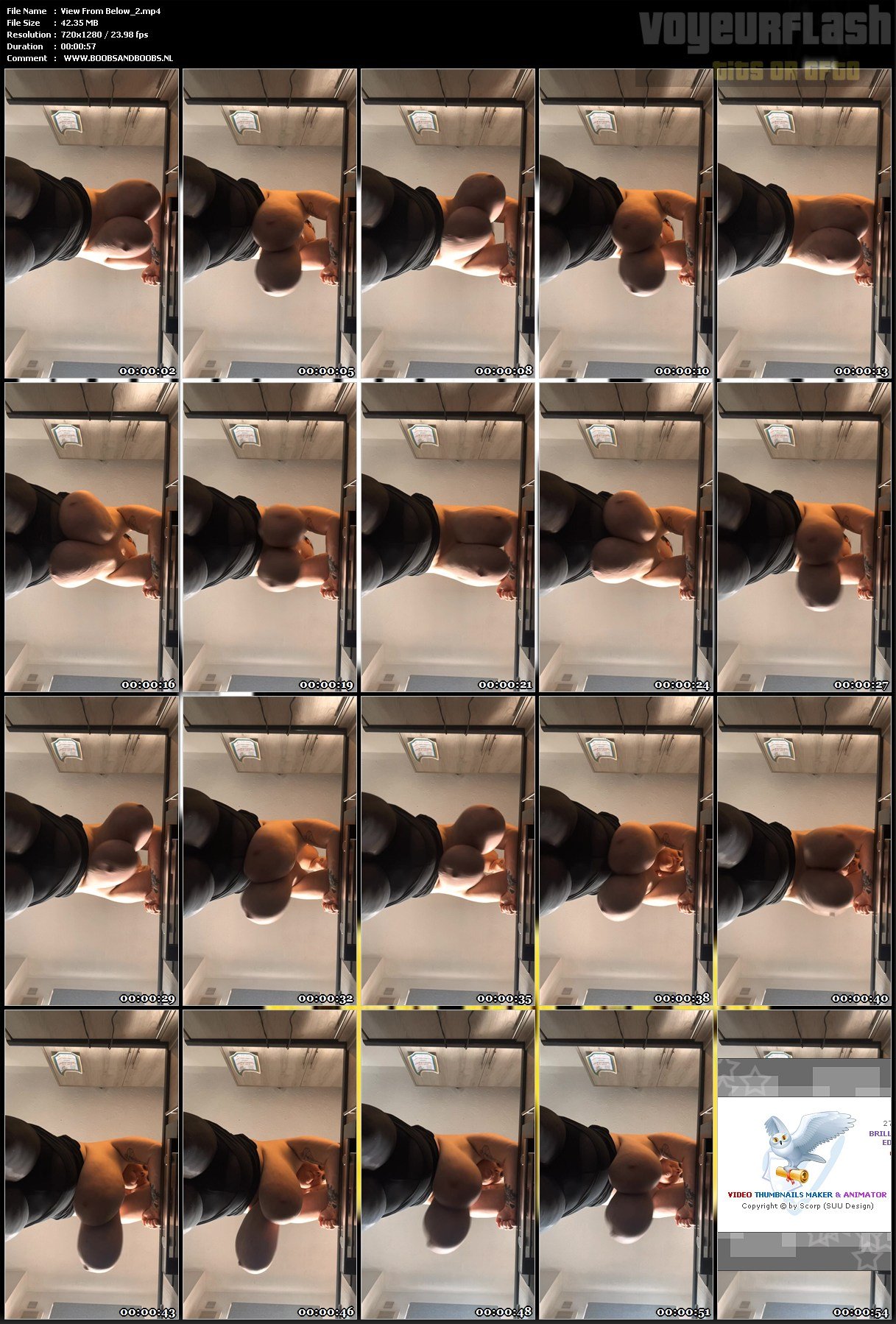 View From Below_2.mp4.jpg