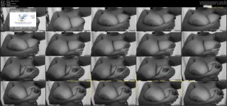 miladie - OnlyFans 014.m4v.jpg