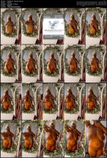 HaidyHaven - OnlyFans 204.mp4.jpg