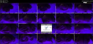 mrsvice - OnlyFans 016.mp4.jpg