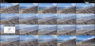 1 (21).mp4.jpg