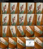 8f7bd635e35f8534c010dd2849a29d63.mp4.jpg