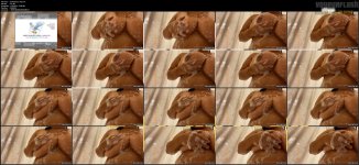 Babvgrace (131).m4v.jpg
