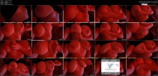 Laceelust  OF (184).mp4.jpg