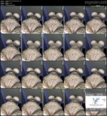 58a8e663390c4515e3206dce0d75c84c.mp4.jpg