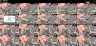 GoodFrayedXenarthra.mp4.jpg