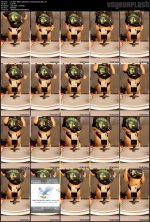 4514803-89fb5443830cf3611710685ec668a7bf.m4v.jpg