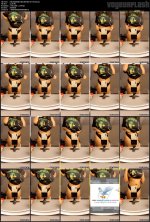 f5bc8d02b8be48be36938feccf719a49.mp4.jpg