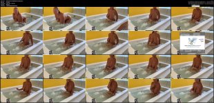 5d4ef22f57ee3fab68898-0TCMiGEg.mp4.jpg
