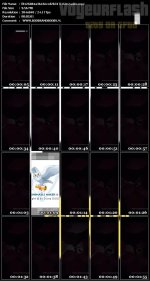 f8126884a3645eccd2b317f460c2ad8e.mp4.jpg