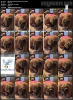 0hs3qz2cy3d4ergy5032w_source.mp4.jpg