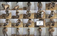 Maxi - My Dog 1.mp4.jpg